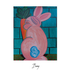 Bunny mp3 Album by Bunny