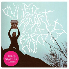Pulled Apart By Horses mp3 Album by Pulled Apart By Horses