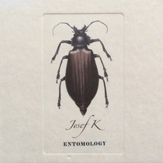 Entomology mp3 Artist Compilation by Josef K