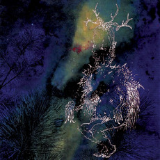 Under the Pines mp3 Album by Bardo Pond