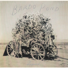 Lapsed mp3 Album by Bardo Pond