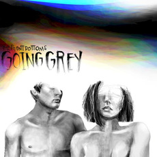 Going Grey mp3 Album by The Front Bottoms