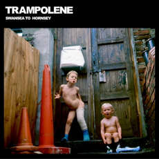 Swansea to Hornsey mp3 Album by TRAMPOLENE