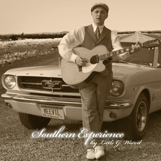 Southern Experience mp3 Album by Little G Weevil