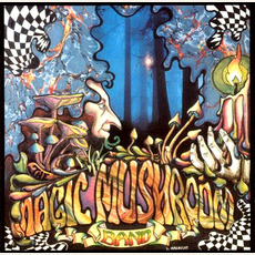 Re-Hash mp3 Album by Magic Mushroom Band