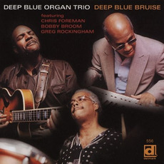 Deep Blue Bruise mp3 Album by Deep Blue Organ Trio