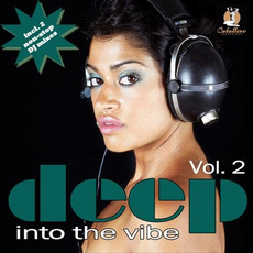 Deep into the Vibe, Volume 2 mp3 Compilation by Various Artists