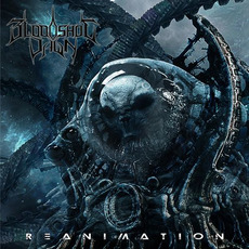 Reanimation mp3 Album by Bloodshot Dawn