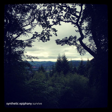 Survive mp3 Album by Synthetic Epiphany