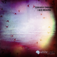Lucid Dreaming mp3 Album by Synthetic Epiphany