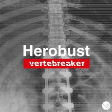 Vertebreaker mp3 Album by heRobust