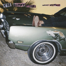 Chance Meetings mp3 Album by The Bunny Tylers