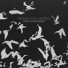 Dawn Chorus (Remixes) mp3 Album by Hidden Orchestra