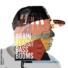 DEM073: Brain Beats & Bass Booms mp3 Artist Compilation by Richard Charnock