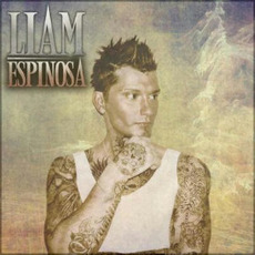 Demos mp3 Album by Liam Espinosa