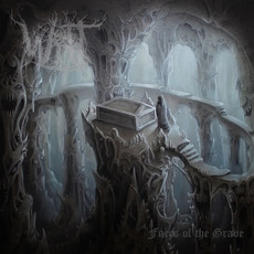 Faces of the Grave mp3 Album by Wilt (DEU)
