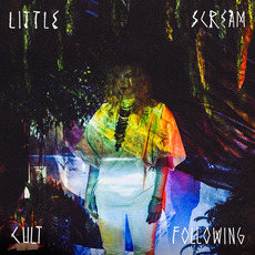 Cult Following mp3 Album by Little Scream