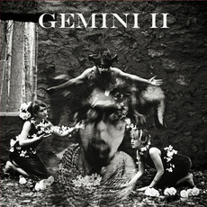 Gemini II mp3 Album by Johanna Warren