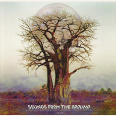 Kin mp3 Album by Sounds From The Ground