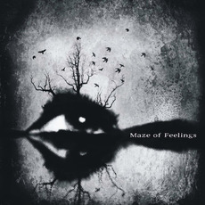 Maze of Feelings mp3 Album by Maze Of Feelings