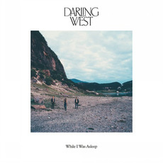 While I Was Asleep mp3 Album by Darling West