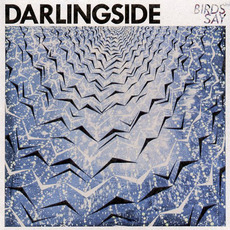 Birds Say mp3 Album by Darlingside