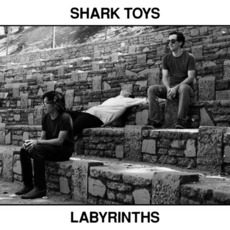 Labyrinths mp3 Album by Shark Toys