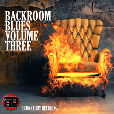 Bongo Boy Records: Backroom Blues, Volume Three mp3 Compilation by Various Artists