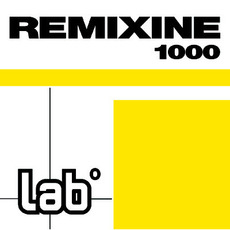 Remixine 1000 mp3 Compilation by Various Artists