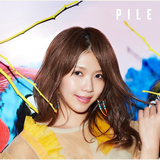 PILE mp3 Album by Pile