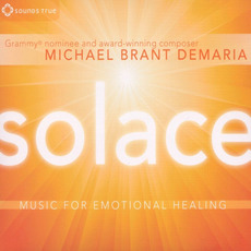 Solace mp3 Album by Michael Brant DeMaria