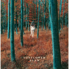 I Hear Voices / The Stalker mp3 Single by Sunflower Bean