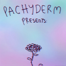 VERGE mp3 Album by Pachyderm