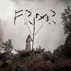 Fridr mp3 Album by Danheim