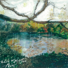 Wide Majestic Aire mp3 Album by Trembling Bells