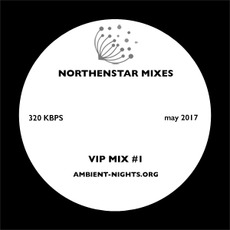 Northenstar Mixes: VIP Mix #1 mp3 Compilation by Various Artists