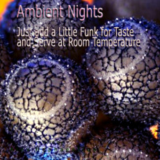 Ambient Nights: Just add a Little Funk for Taste and Serve at Room Temperature mp3 Compilation by Various Artists