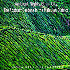 Ambient Nights: Ethni-City - The Abstract Gardens in the Malauian District mp3 Compilation by Various Artists