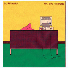 Mr. Big Picture mp3 Album by Surf Harp