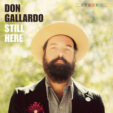 Still Here mp3 Album by Don Gallardo