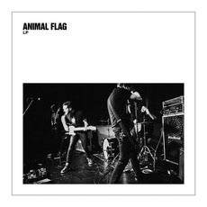 LP mp3 Album by Animal Flag
