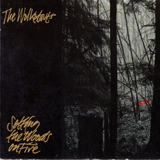 Setting the Woods on Fire mp3 Album by The Walkabouts