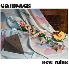New Ruins mp3 Album by Candace