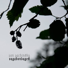 Vagabondages mp3 Album by von Zachinsky