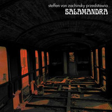 Salamandra mp3 Album by von Zachinsky
