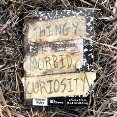 Morbid Curiosity mp3 Album by Thingy