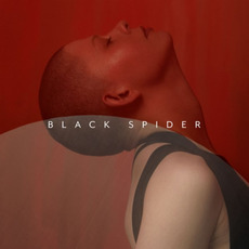 Black Spider mp3 Single by Kovacs