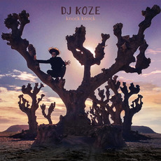 Knock Knock mp3 Album by DJ Koze