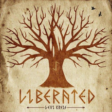 Liberated mp3 Album by Levi Kreis