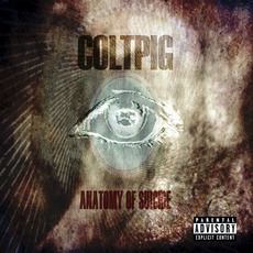 Anatomy of Suicide mp3 Album by Coltpig